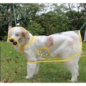Pet Raincoat small Dog Waterproof Puppy Transparent Pet Dog Rainwear Clothes